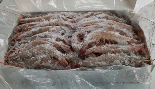 Camarón Entero Marino Congelado (2 kg)