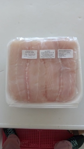 Filete de carpa congelado ( Envase 1 kg)